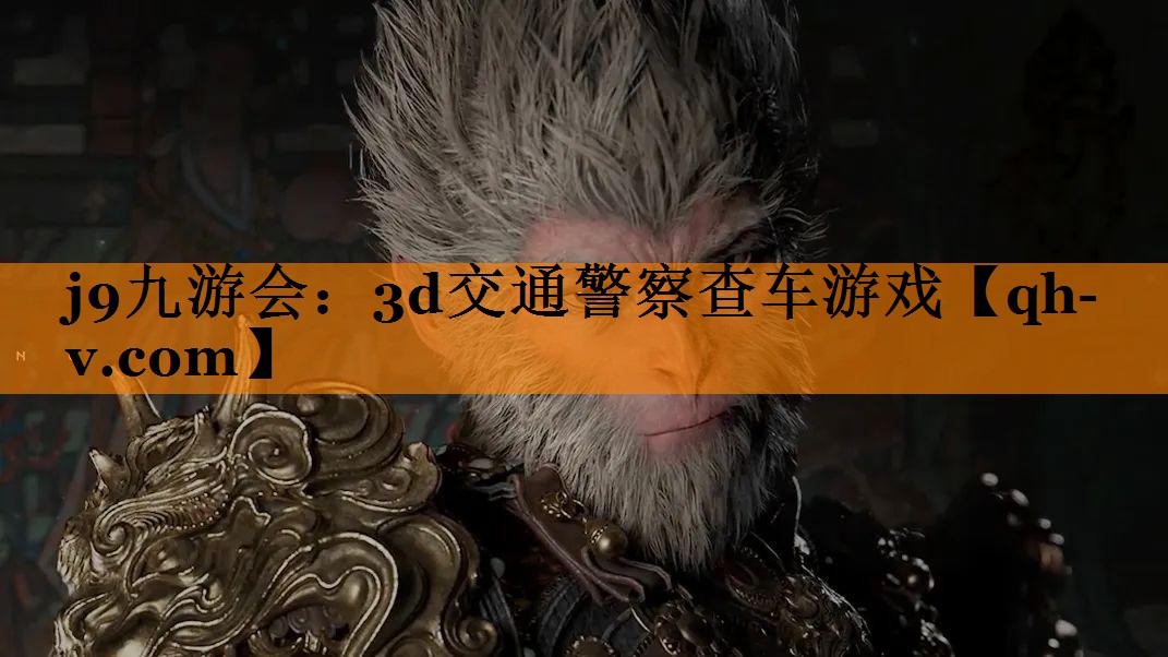 j9九游会：3d交通警察查车游戏