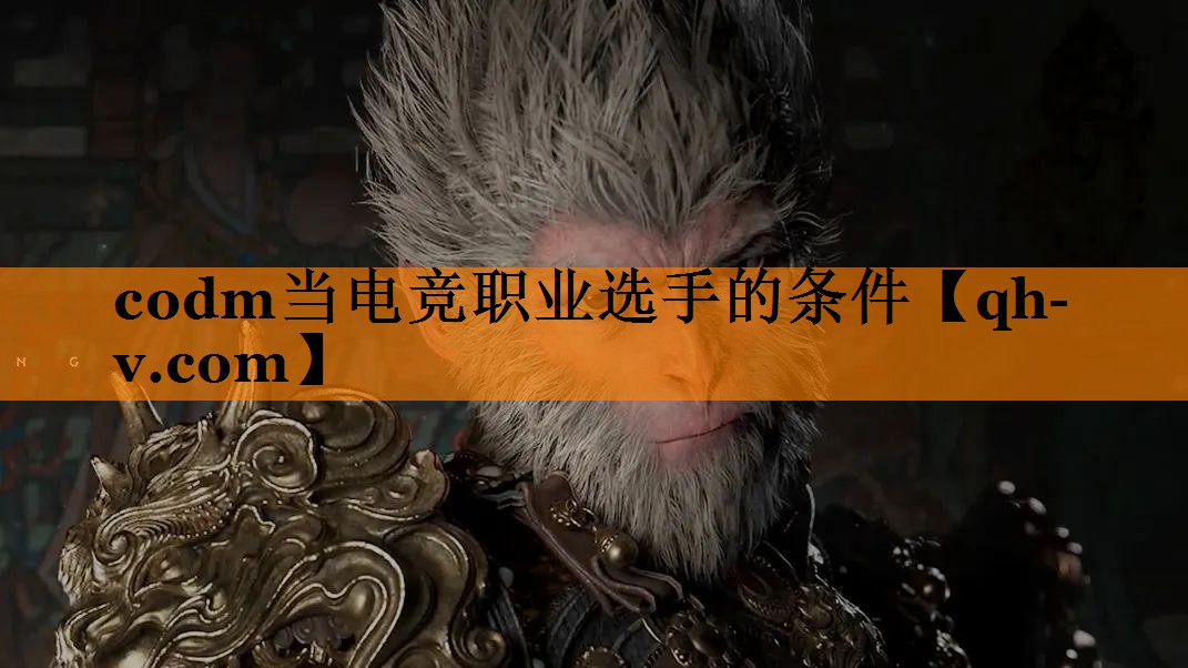 codm当电竞职业选手的条件
