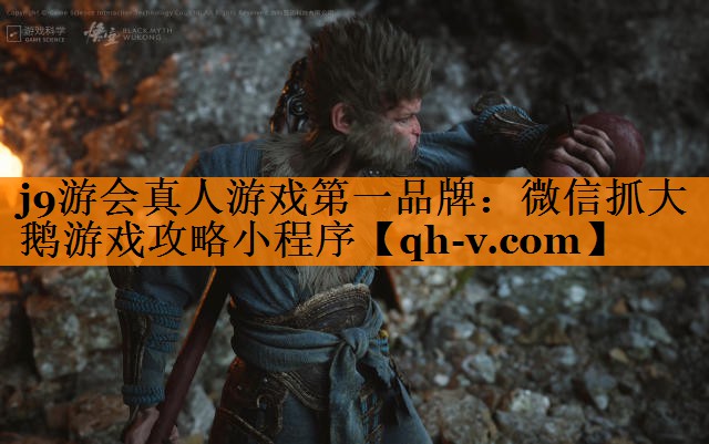 微信抓大鹅游戏攻略小程序