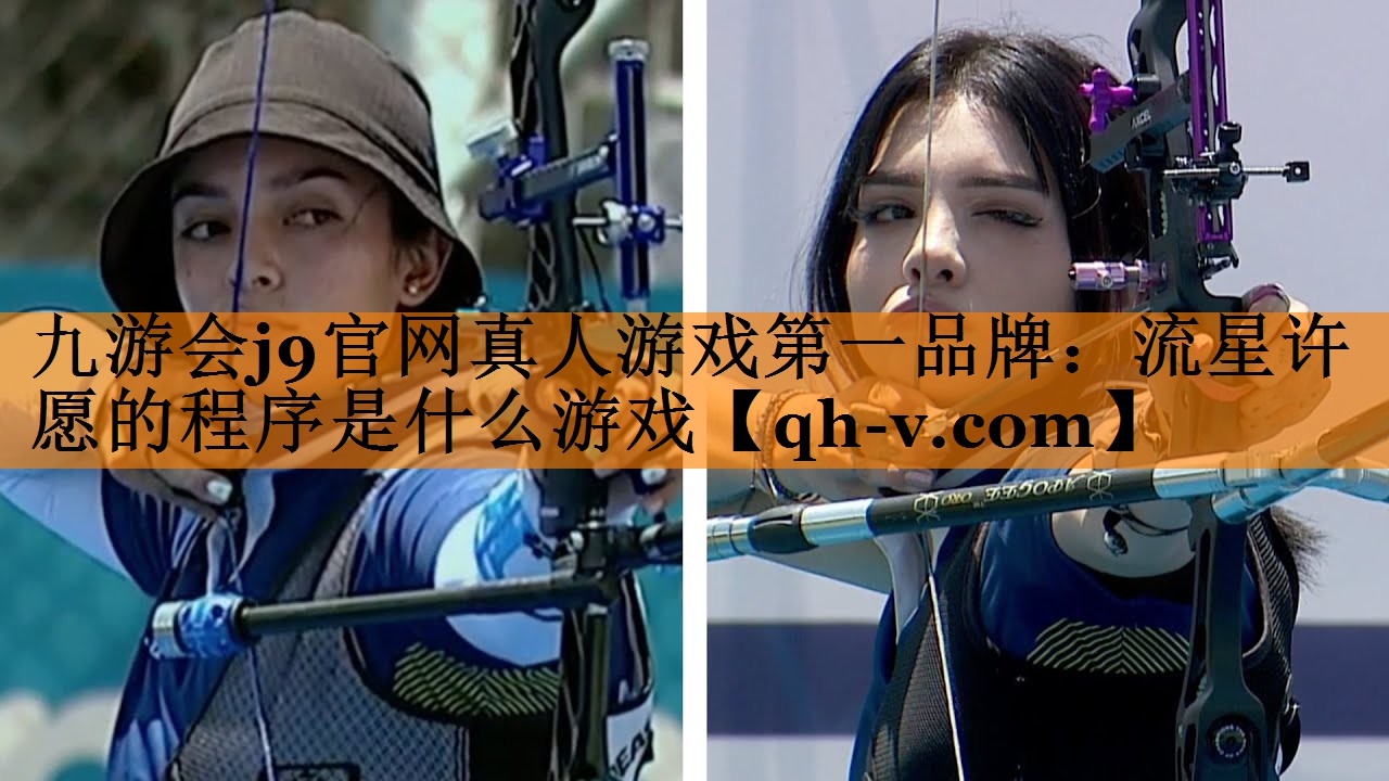 流星许愿的程序是什么游戏