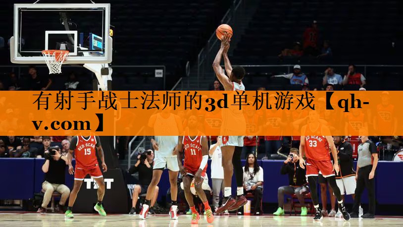 有射手战士法师的3d单机游戏
