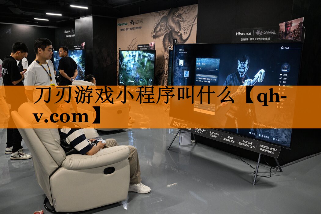 刀刃游戏小程序叫什么