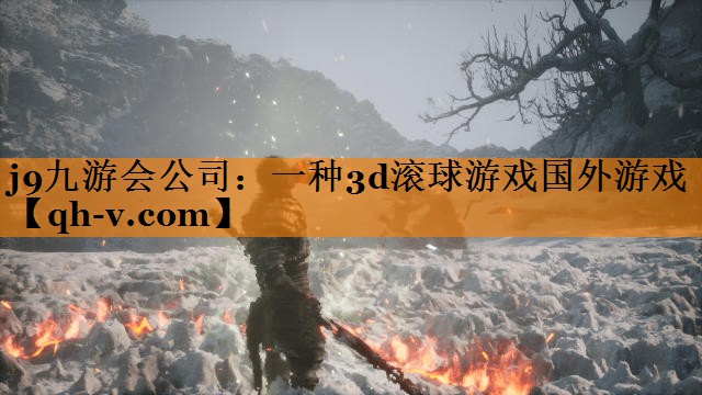 一种3d滚球游戏国外游戏